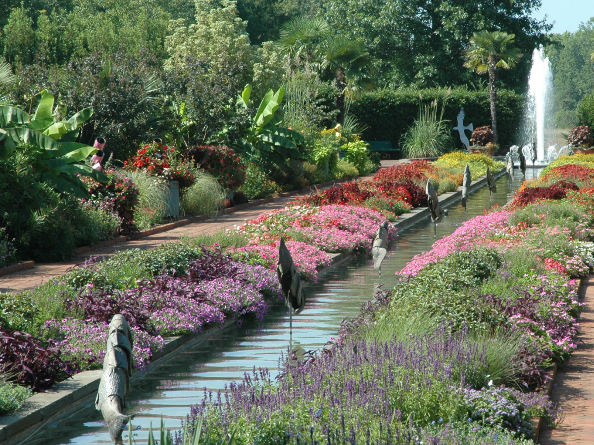 UNC Charlotte Botanical Gardens